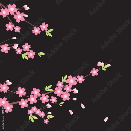 Floral Ornament - Sakura