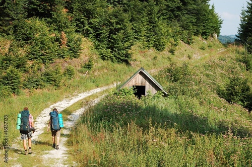Shelter refuge hut in nature