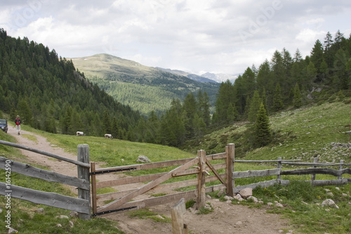 viehzaun in südtirol