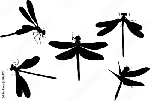 five black dragonflies