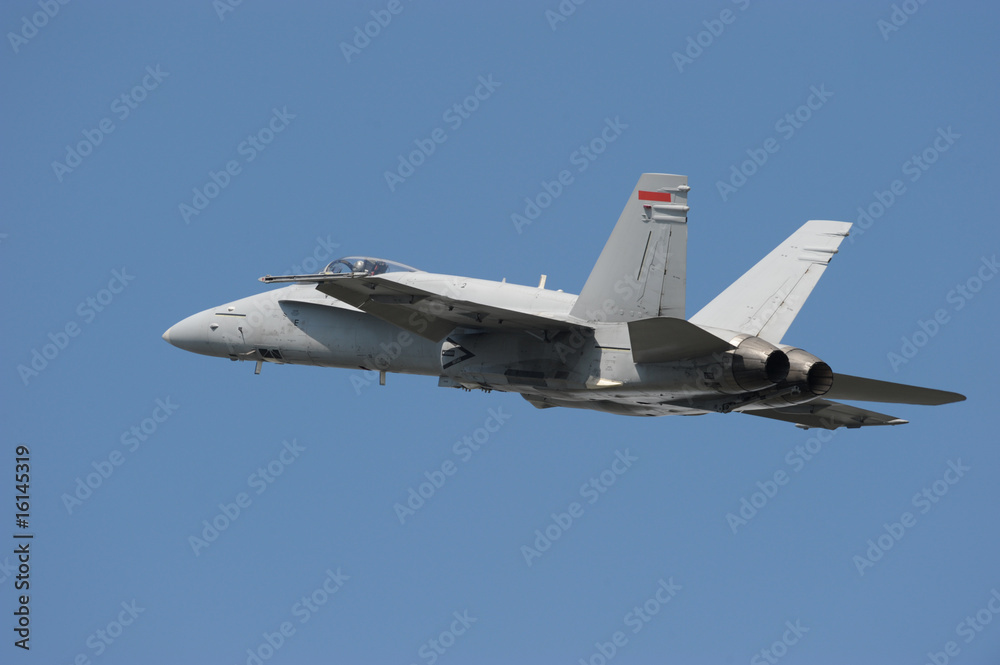 F-18 Hornet military jet F-18 Hornet military jet