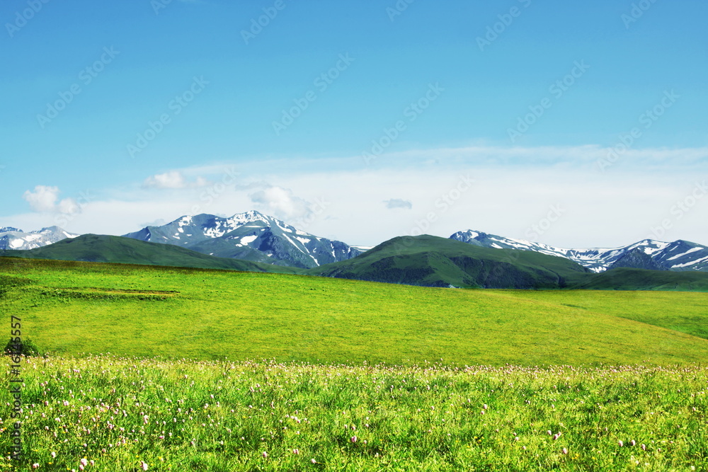 Mountains meadow