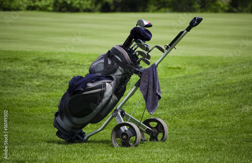 Golf clubs in a trolley/cart bag on a green golf course