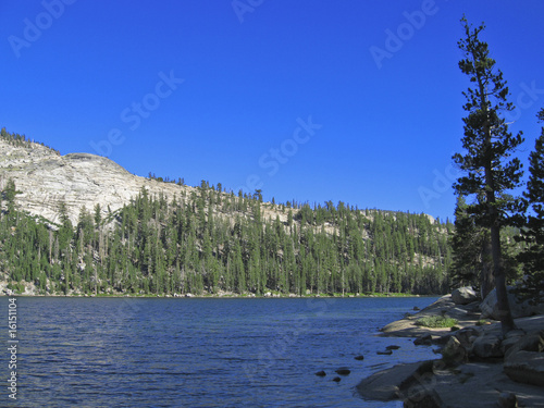 Yosemite National Park