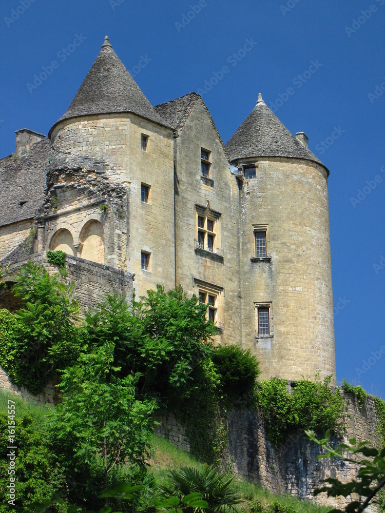 Salignac et son château ; Périgord, Limousin,