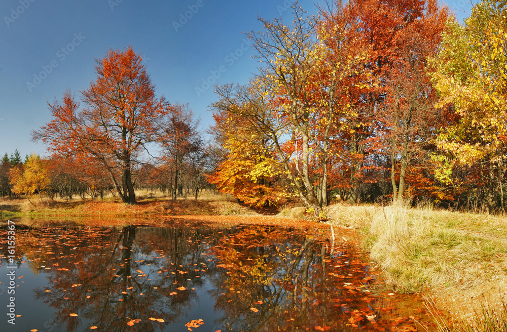 Naklejka premium beautiful autumn scenery with lake