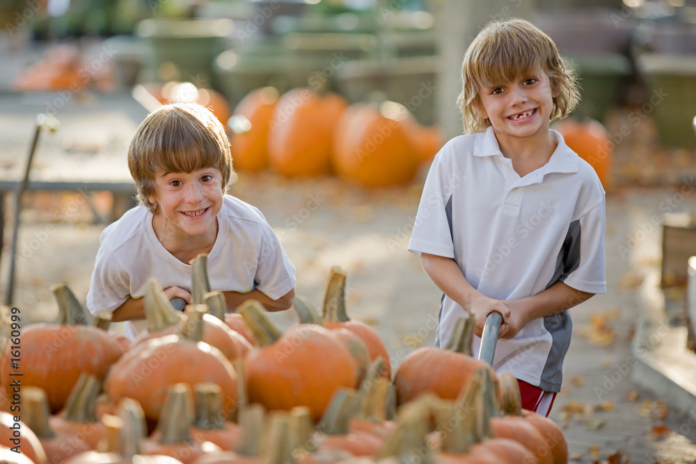 Fototapeta premium Boys Playing with Wagon Full of Pumpkins
