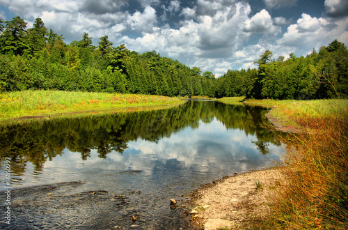 An HDR image of a forest with a reflection off of the lake (shot taken in Ontario, Canada). photo