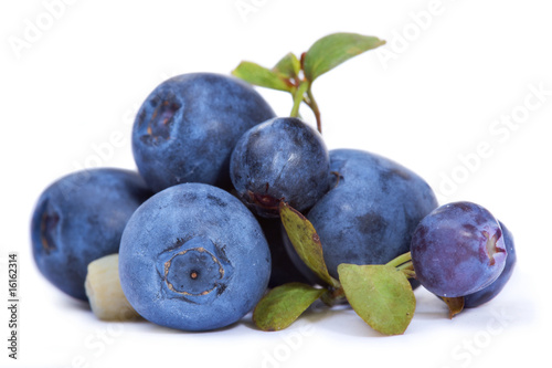 Blueberries with leaves isolated on white background