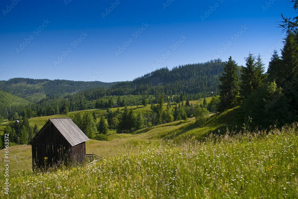 Eastern european mountain scenery in summer