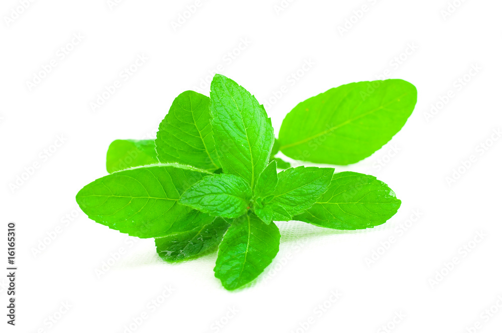 Peppermint Peppermint