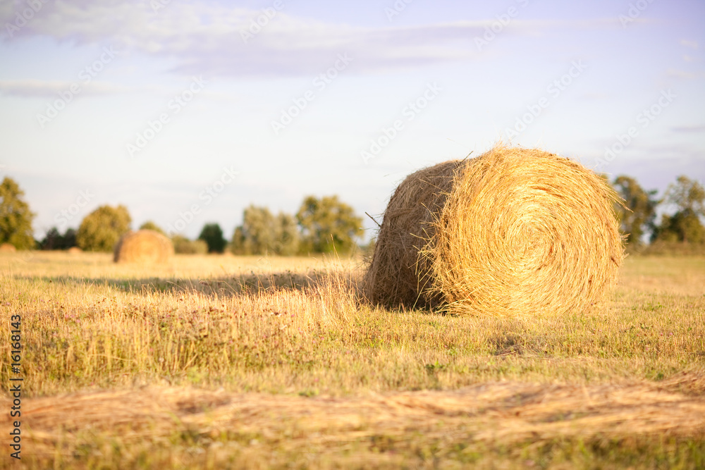 Hay Bales in the countryside
