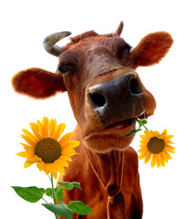 milker