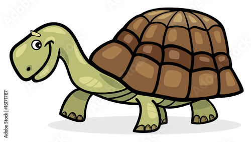 funny cartoon turtle