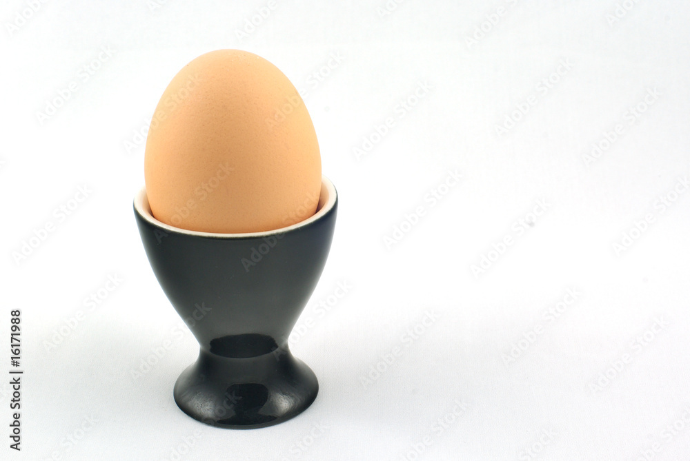 boiled egg boiled egg
