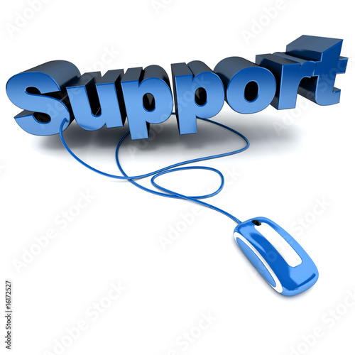 Online support