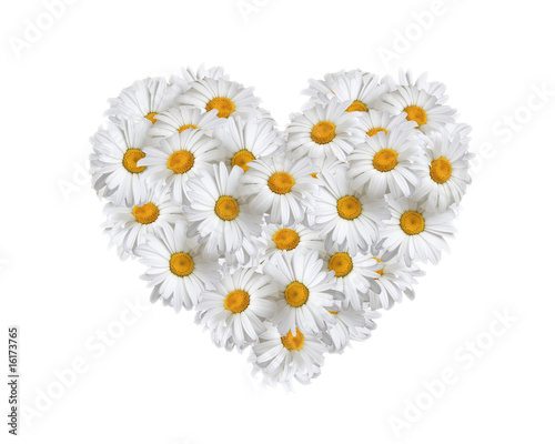 Fototapeta Naklejka Na Ścianę i Meble -  Love, heart of daisies