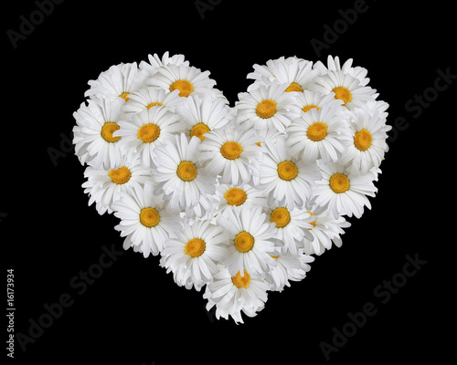 Fototapeta Naklejka Na Ścianę i Meble -  Love, heart of daisies