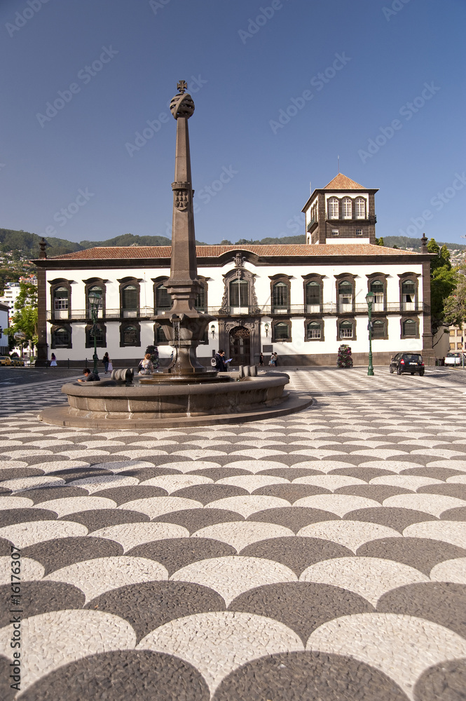Fototapeta premium madeira