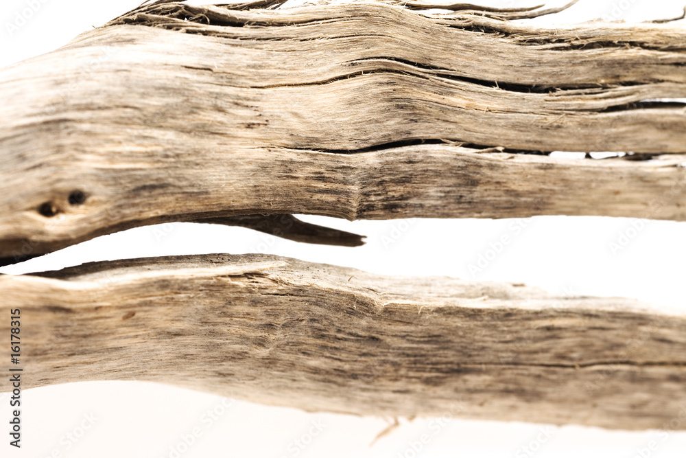 wooded branch isolated on white