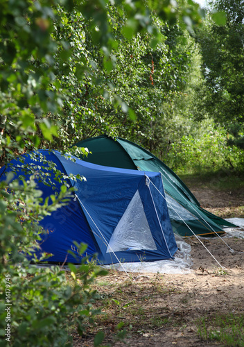 Camping Tents in the forest
