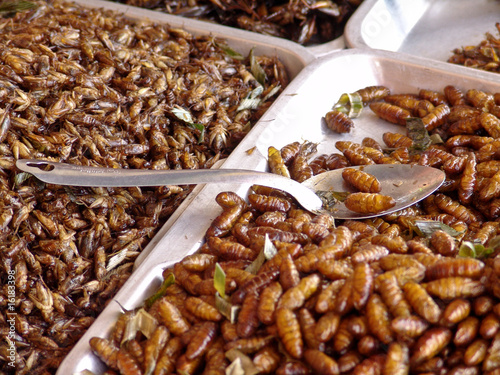 Thailand food stalls - fried insects nb.5 © Ivan Trizlic