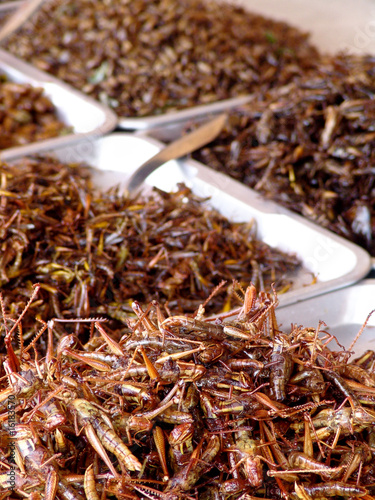 Thailand food stalls - fried insects nb.14