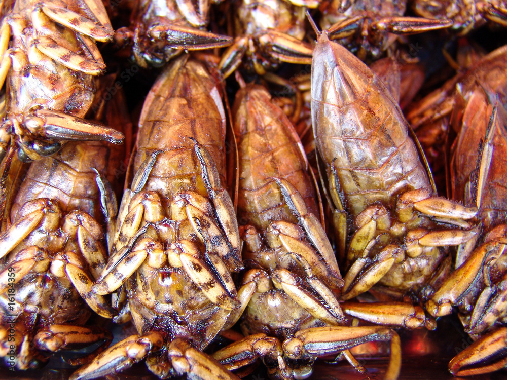 Thailand food stalls - fried insects nb.41 Thailand food stalls - fried insects nb.41