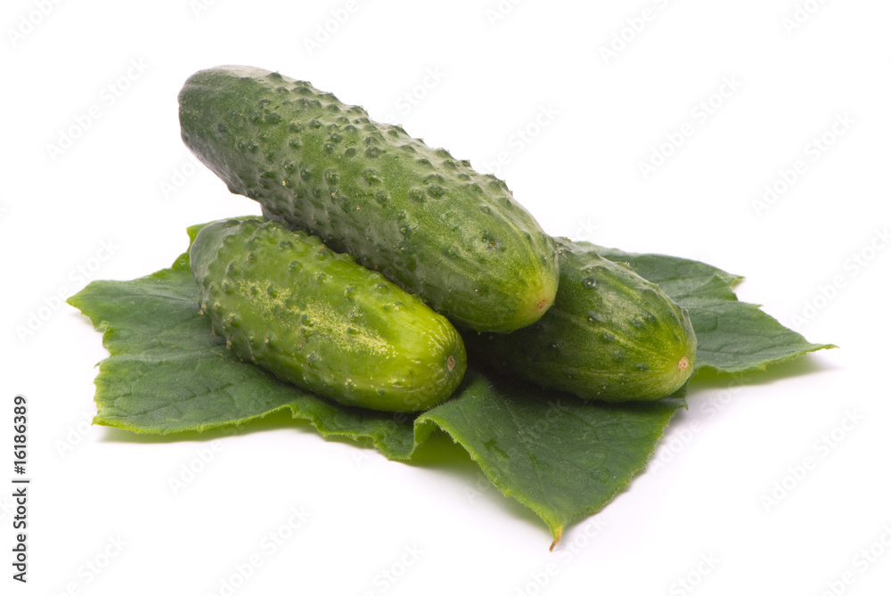Fresh cucumbers with leaf. Macro shot. Studio white background Fresh cucumbers with leaf. Macro shot. Studio white background
