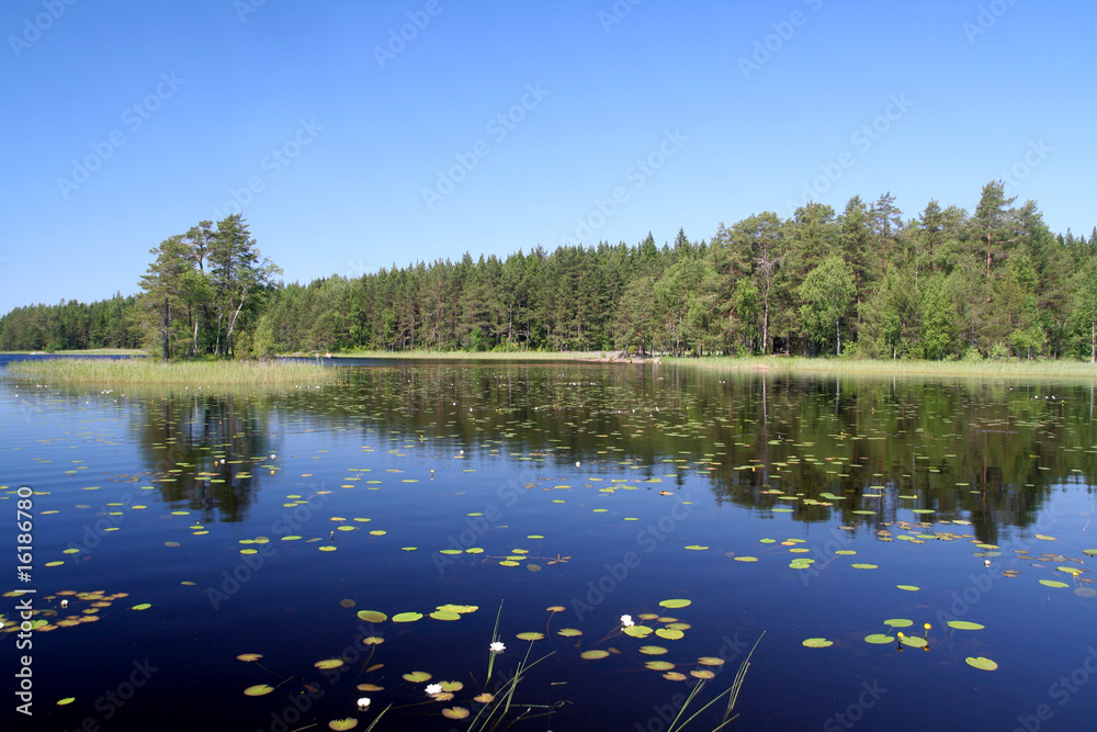 Summer lake in Finland