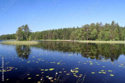 Obraz na płótnie Summer lake in Finland w salonie