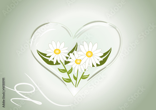 blumenherz illustration