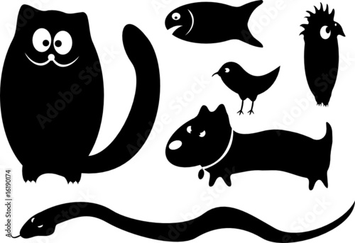 Funny animals