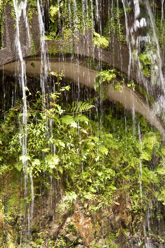 madeira photo