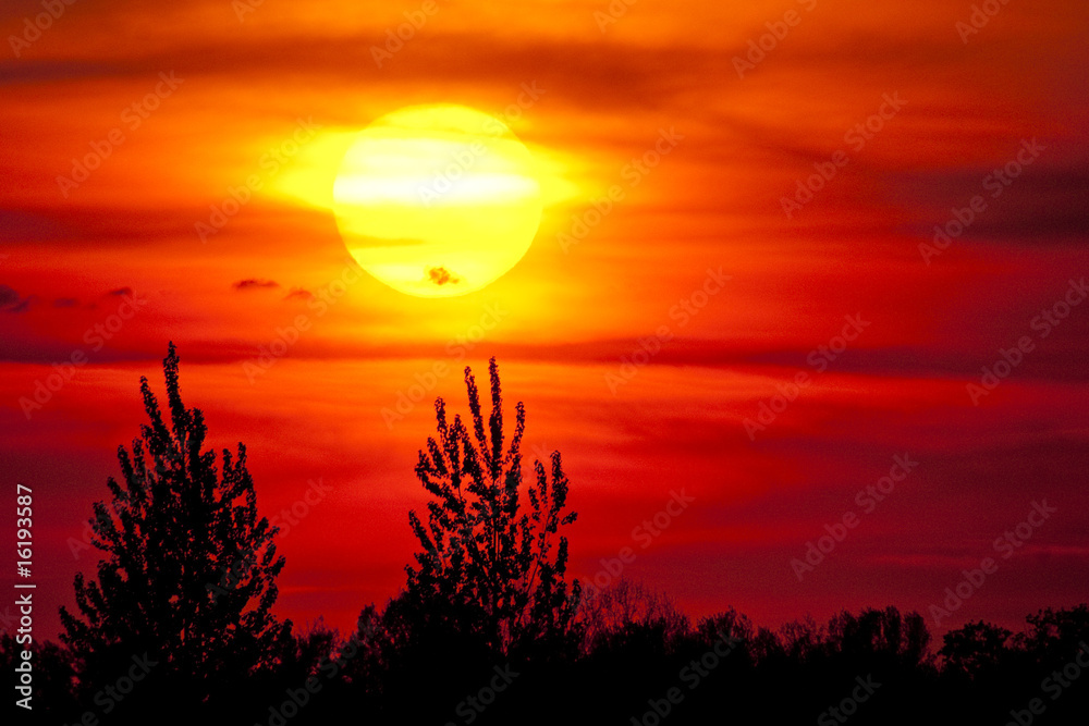 Obraz premium Sonne