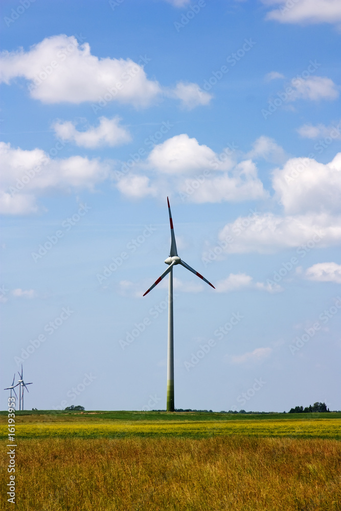 Fototapeta premium wind power plant, rural landscape