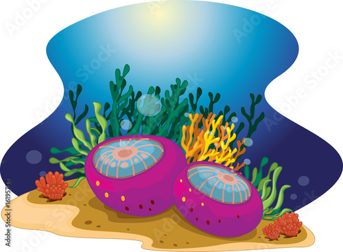 Sea plants