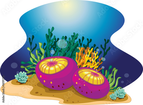 aquatic plants