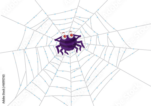 spider and web