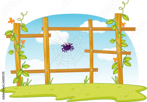 fence spider