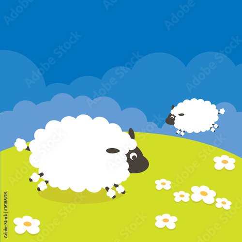 Sheep