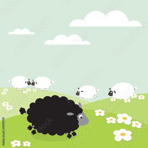 Sheep