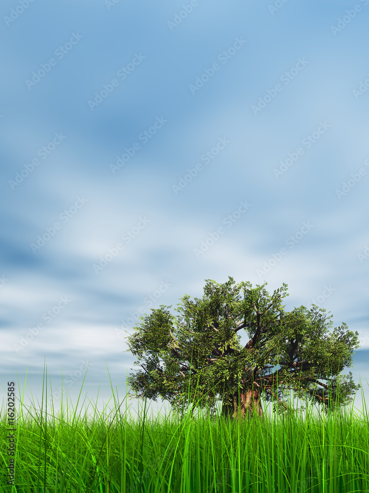 Fototapeta premium 3d green grass over a blue sky with old baobab tree
