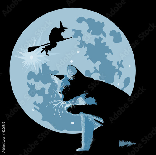halloween theme with cat and witch against full moon