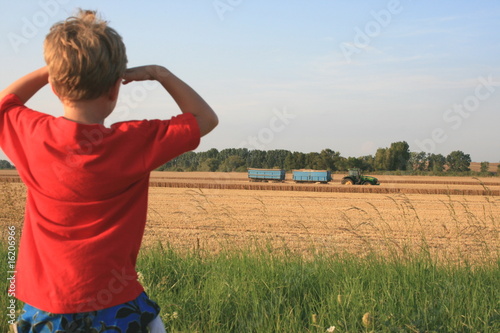 Kind schaut bei der Ernte dem Traktor zu photo