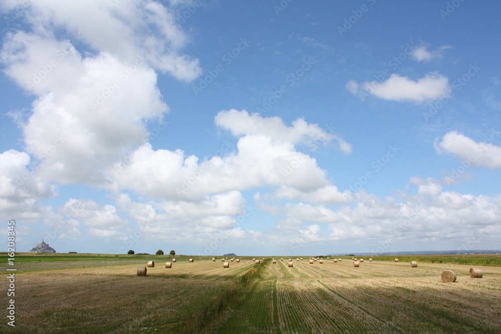 Champ devant Mont Saint-Michel