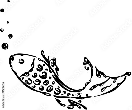 Wasser, Fisch, Wassertropfen