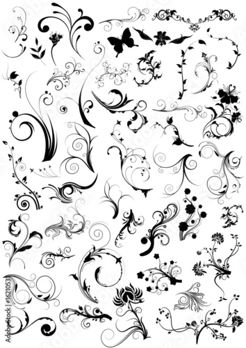 vector floral elements set