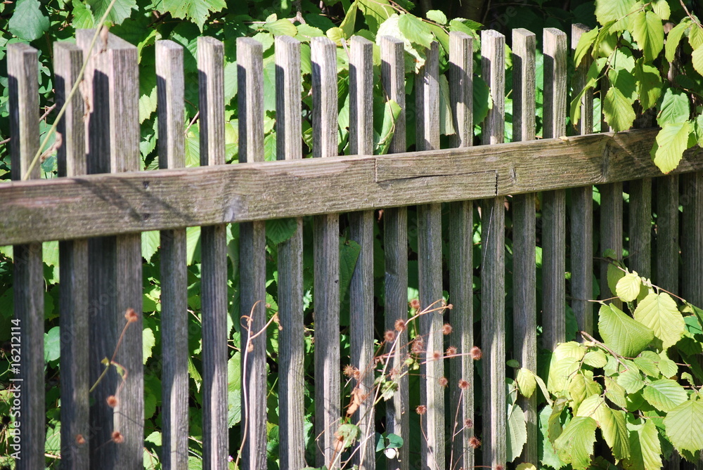 Fototapeta premium Gartenzaun