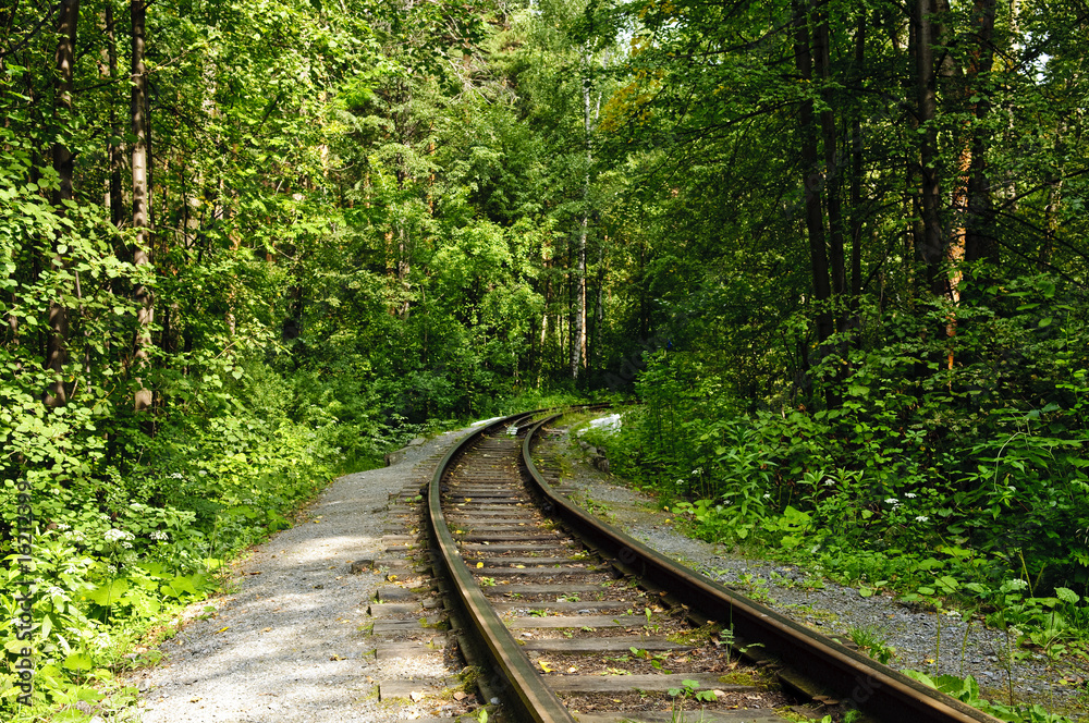 railroad in forest railroad in forest